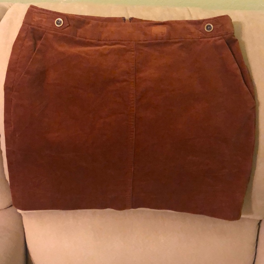 Banana Republic Skirt